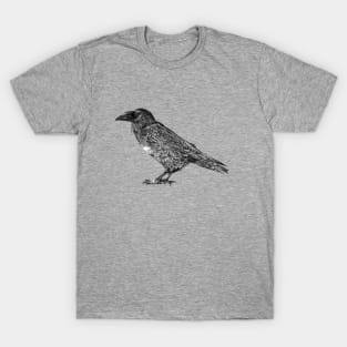 Raven pen and ink T-Shirt